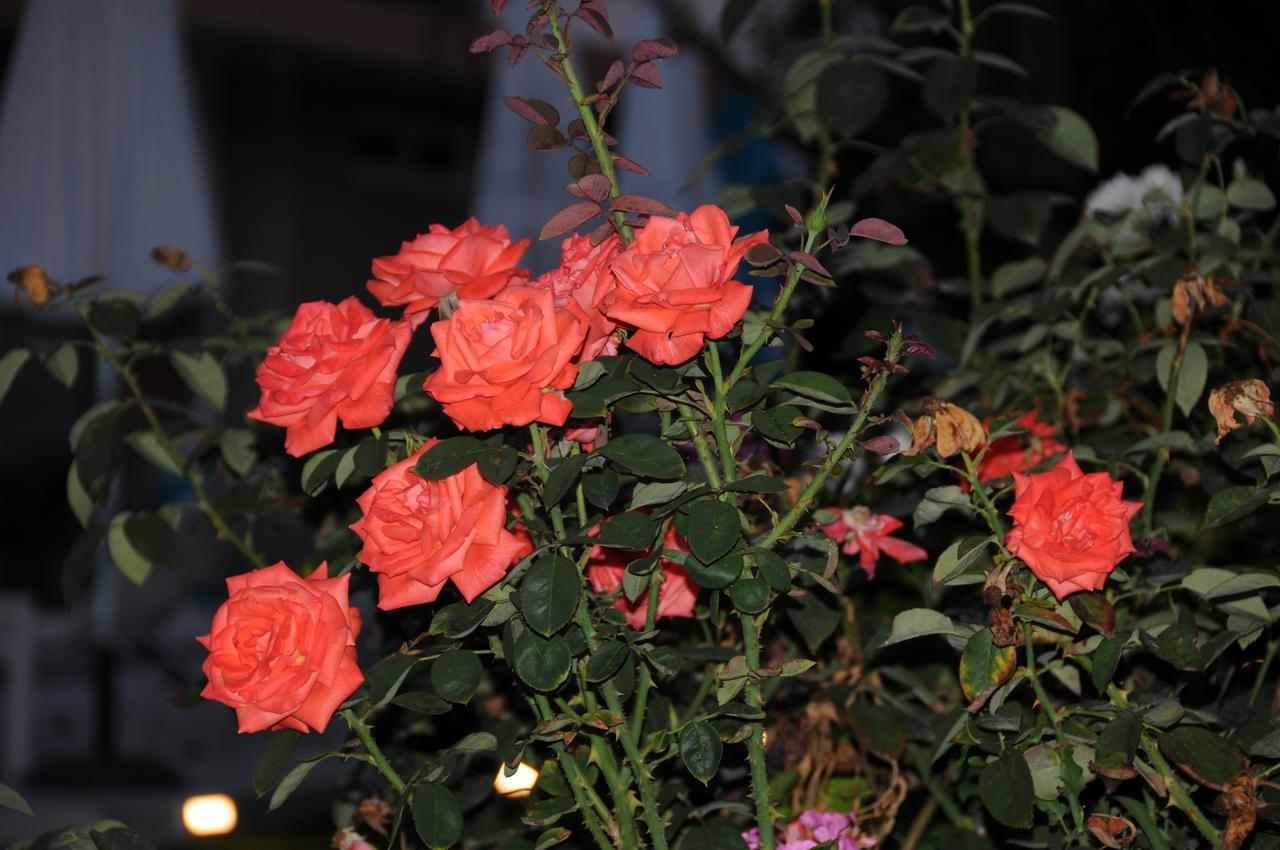 KalamákionVicky'S Gardenアパートメント エクステリア 写真